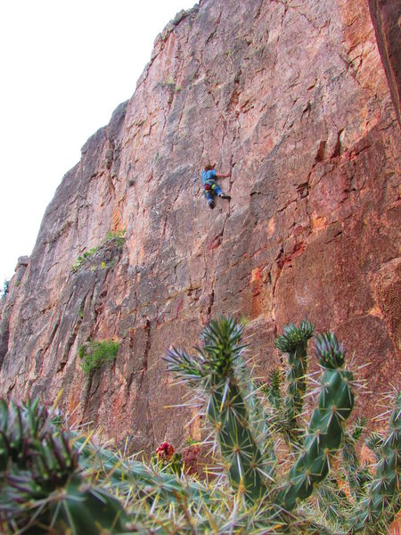 Doing a little climbing at shelf.