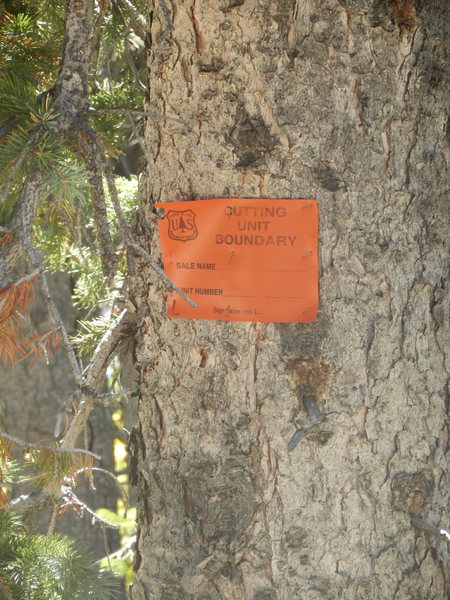 Obvious trail behind the tree with this sign.