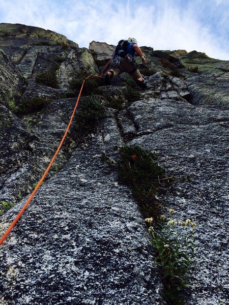 Rob Beno leading P4 of the Timex Route. This photo gives a good idea of the amount of vegetation on route.