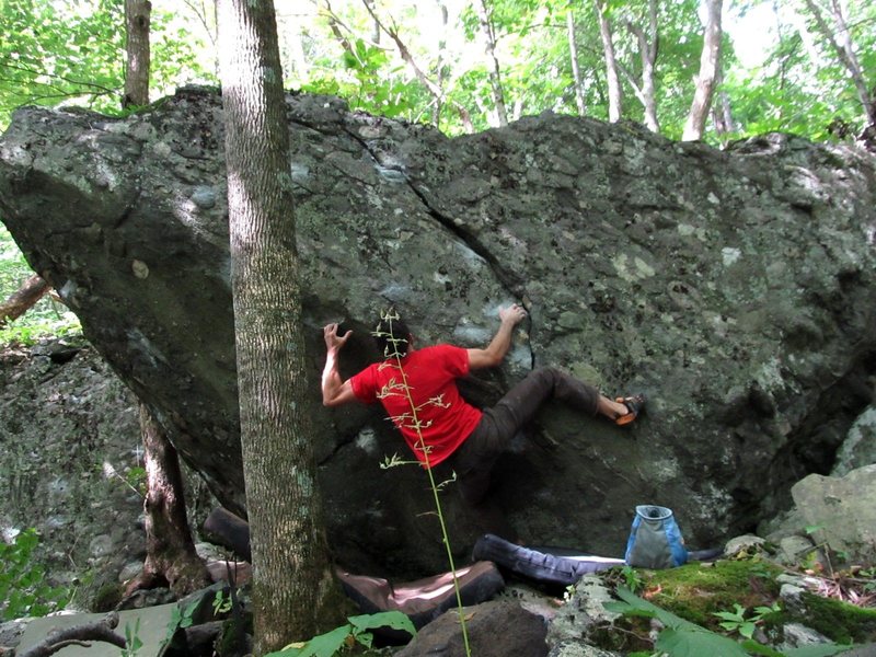 Parlier climbing "Rooster"