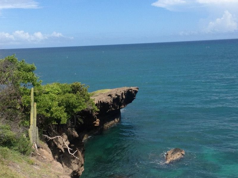 Prickly Bay cliff