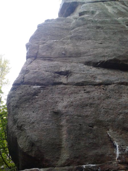 Walking Wounded goes up on the far left side of the face.