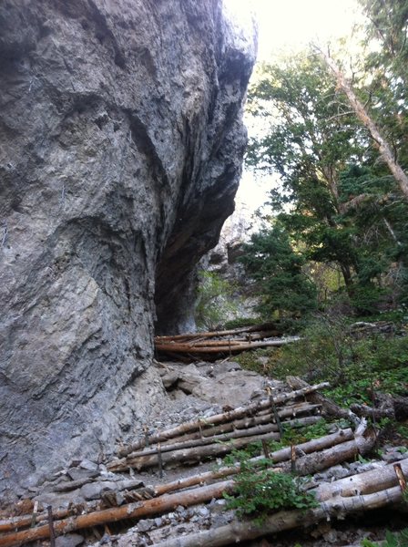 Looking up at the Upper cave from near Piston Bully. Four Deep in the Hoopti is the bolt line seen on the left wall