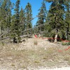 Old Logging/Cell Tower Road with Berms.  Trail is just right of this and leads back onto the road.