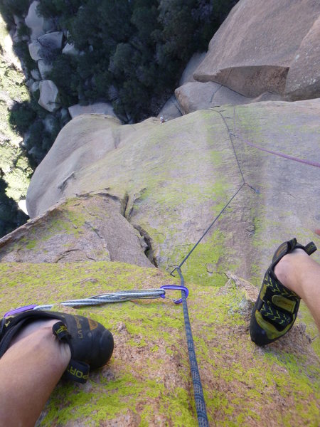 Looking down on pitch 4