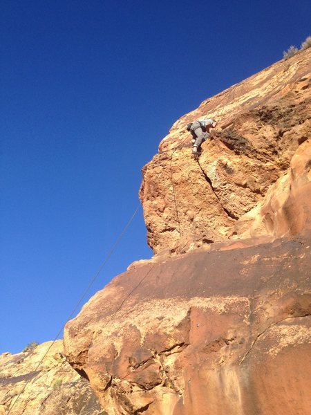 Eli on TR on Petrified, 5.10a