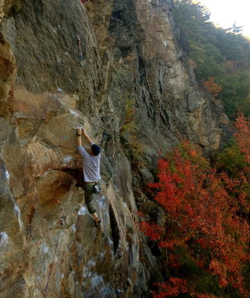 About to fall again on the red point campus crux after the dyno.