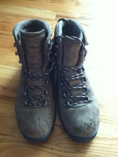 EMS Gore-Tex Boots Size 11 - $60. Local, no shipping!<br>
