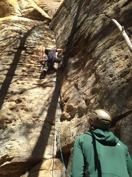 Where I learned to climb - Red River Gorge