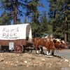 Roadside sign for Fawn Park, Fawnskin