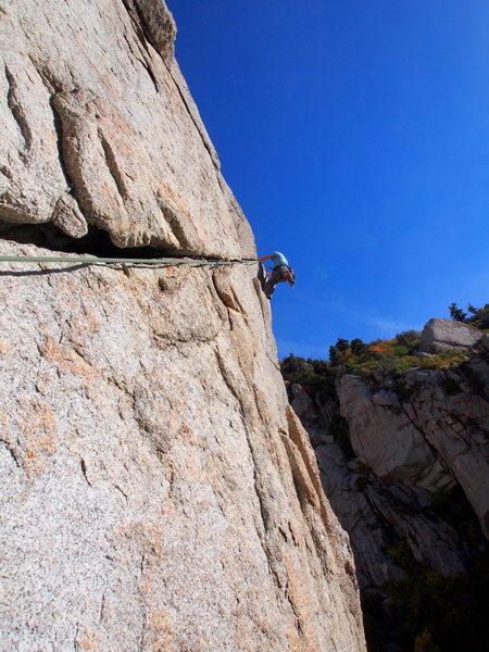 Alec leading Sinsemilla