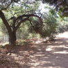 Keep an eye out for the tree that looks like an archway over the trail you go left at from the main trail which leads to the crag