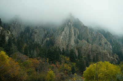 The dead snag and environs from the road