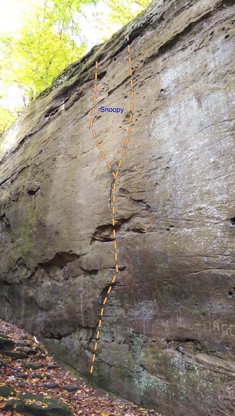 Left main wall routes