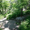 Approach from top: Hike up Balanced Rock trail to top where it meets the East Bluff Trail.  Hike North until you see this trail maker and the trail cuts right.  Go straight and follow this footpath for a 100 yards or so until it drops you into a talus field.  Barking Spiders and Spirit Fingers are to your left, Wildwood is straight ahead.