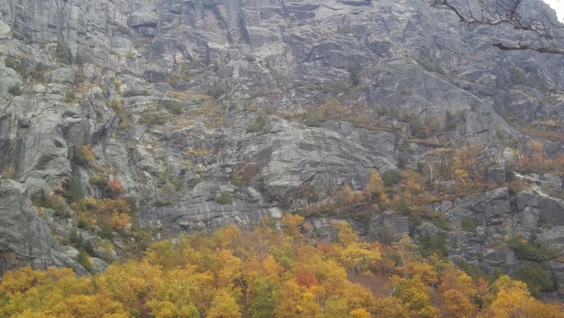 Start of climb is at the high point of the land almost center of pic ...up and right into trees, then up and left through trees