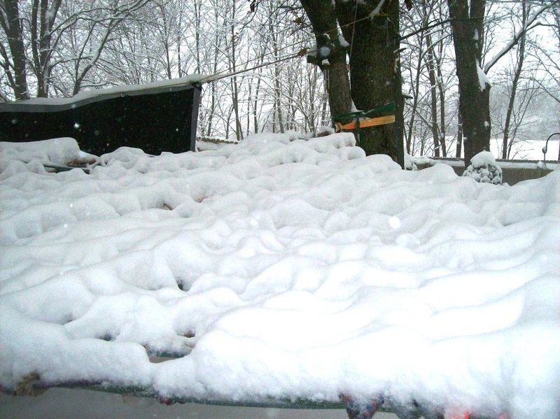 deep snow on hammock last February