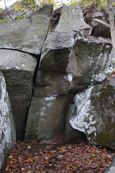 Bashista Yo Sista, v5