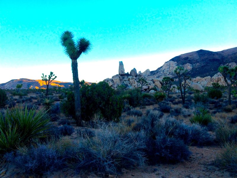 Headstone during Sunrise from Ryan Campground