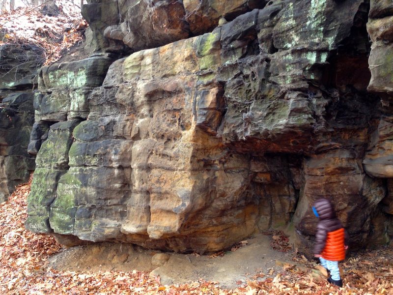 Rock is wet after rain.