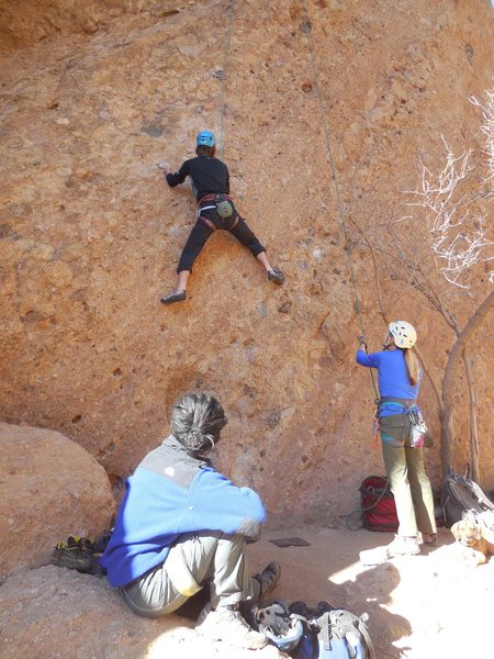 Pulling the opening moves on "Sophie's Choice."