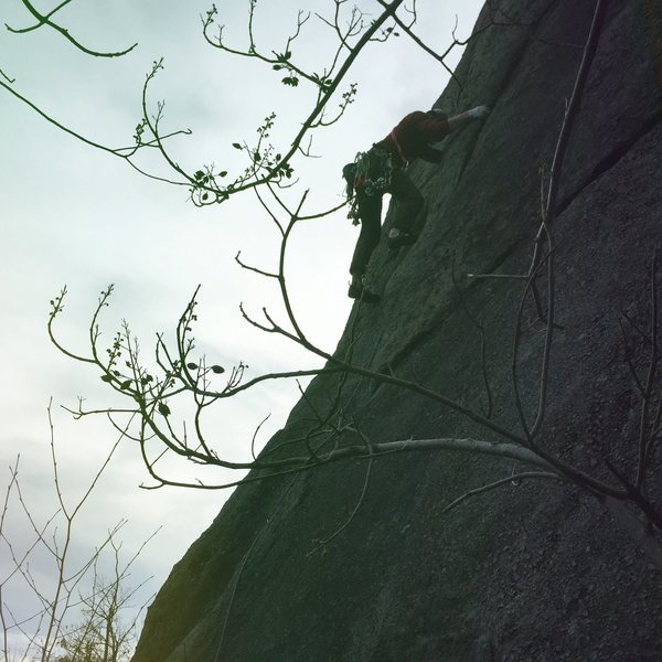 Fun climbing on a cold and cloudy November day.