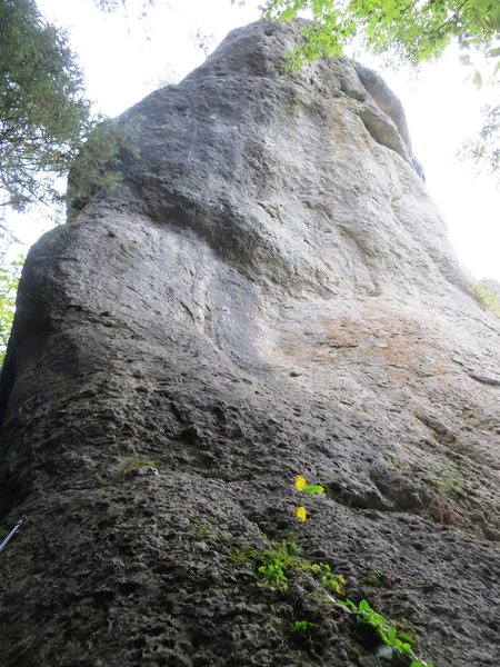 The west face of Rabenfels, home to two steep Wolfgang Gullich pocket climbs:  Ghettoblaster and West Side Story.