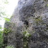 The brief, yet incredibly mossy Normalweg, on the north side of Rabenfels.  It was soaking wet when we were there.