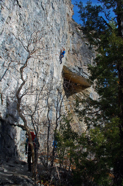 Cody at about the half way point.