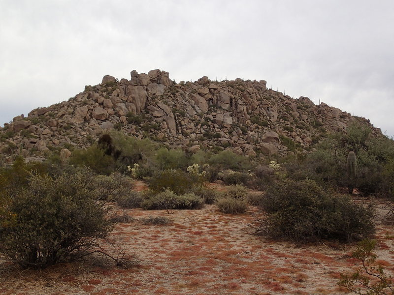 Cholla Mountain (as seen from the South)