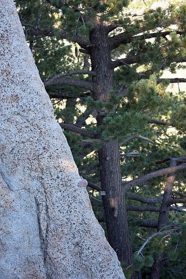 Another view of the Rainbow Arete (5.11+ R), Black Mountain