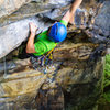 Jean-Christophe Fillion-Robin pulling the big roof moves on Four Sheets To The Wind (5.9+) at Junkyard Wall. Photo by Jeff Dunbar.