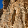 Ed and Mike climbing at The Bat Cave<br>
Bella Dona/Glue-Fa (5.13)