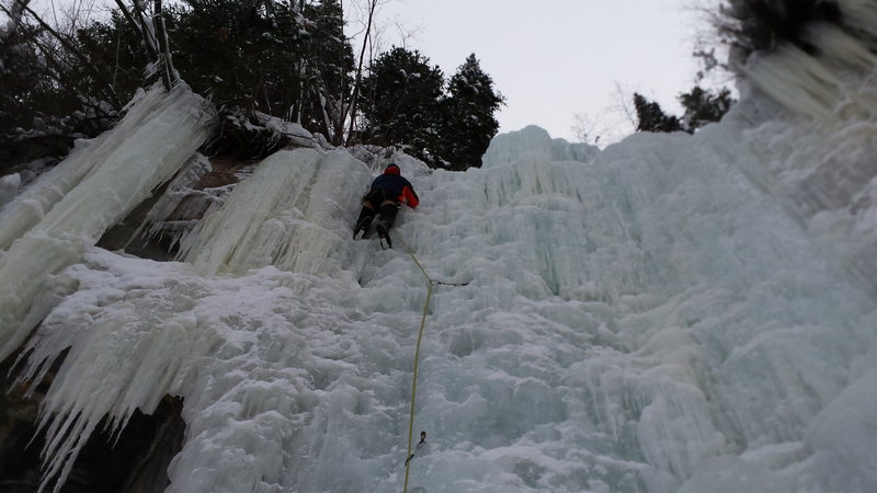 Mike C. Vail New Year's Day 2015.