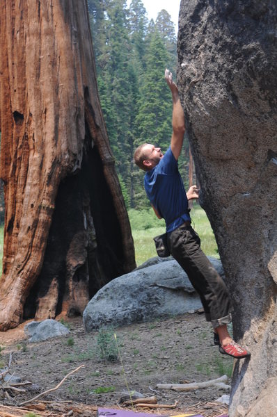 This boulder has a few fun problems on it. It's just off the Round Meadow trail. Also called the Big Trees trail. Surrounded by Giant Sequoias. 