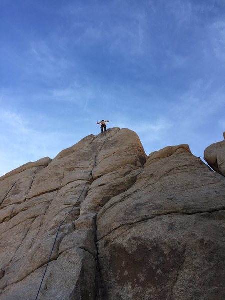 Joshua Tree