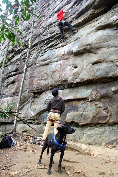 Rocky: The World's Worst Crag Dog stands guard over Finders Keepers.