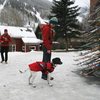 My awesome wife and new Pup looking pro in Telluride