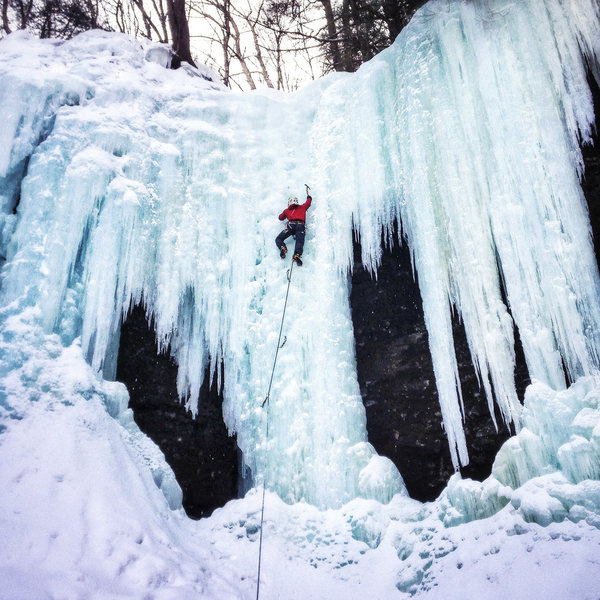 Buttermilk, top pitch.