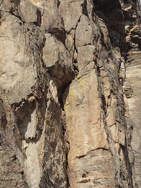 The owl nest is at the white spot just below the shadow in the middle of the photo.