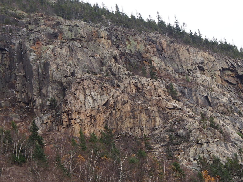 Whitewall Mt (East Side Zealand Notch) Cropped