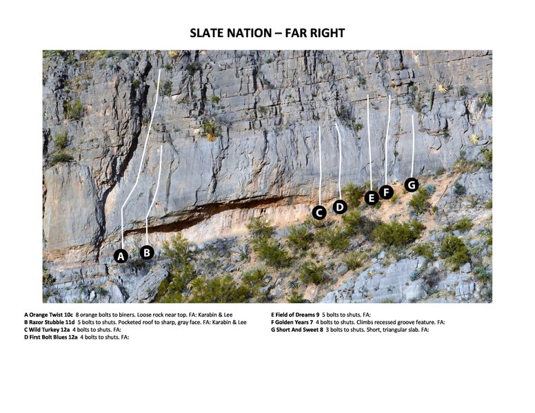 Slate Nation - Far Right