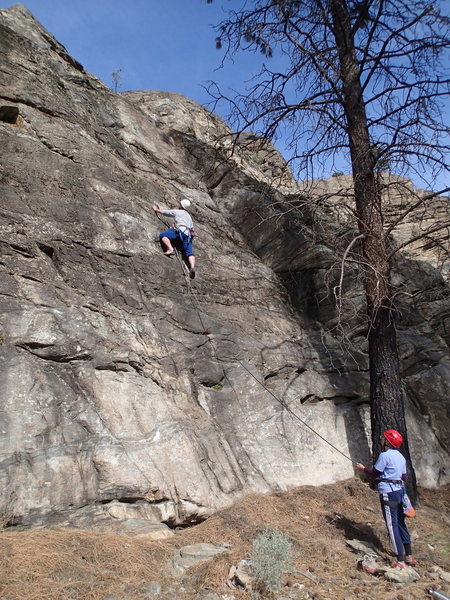 Climbers on Low Hanging Fruit