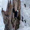 Mixed climbing at the Ouray Ice Park