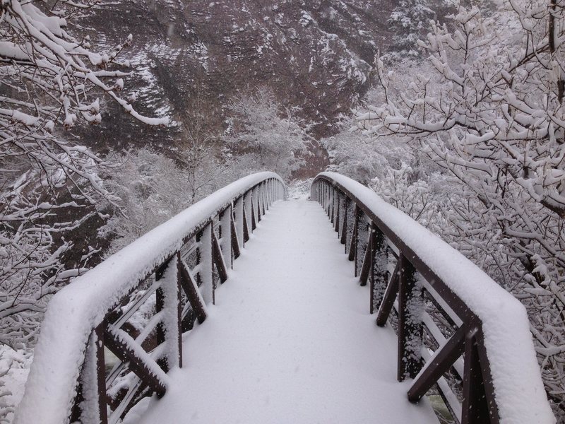 Eldo bridge.