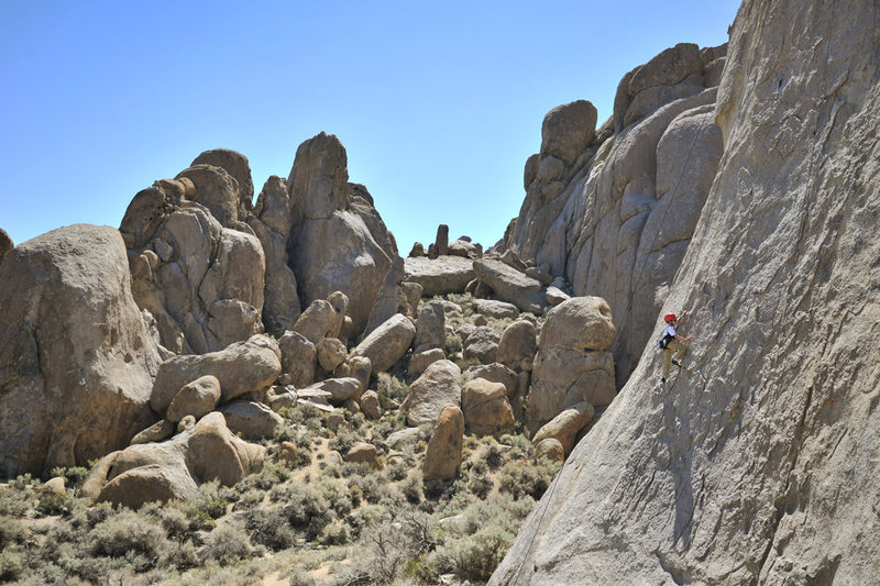 Eight-year-old Bryson Fienup climbs Rotten Bananas, on the Tall Wall in the Alabama Hills.