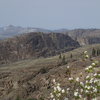 View NW towards McLoughlin Canyon from the top of the Upper Crag.