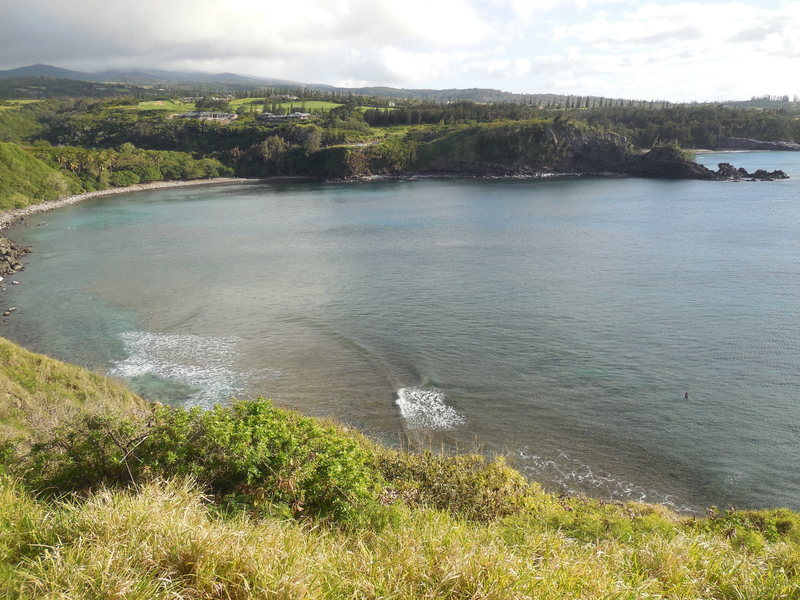 Honolua Bay from Lipoa Point Overlook.