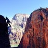 Josie McKee airing it out to the summit of Minotaur Tower via the Megamahedral. NE Face of Angels Landing behind, and the NW Face of Great White Throne in the way back