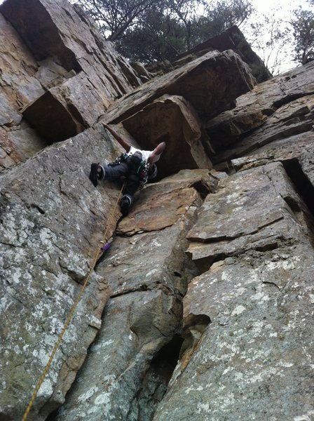 Rohan on Yellow Jacket